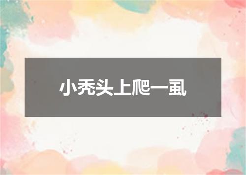 小秃头上爬一虱