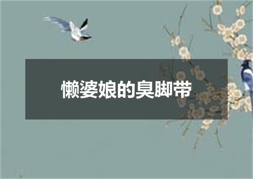 懒婆娘的臭脚带