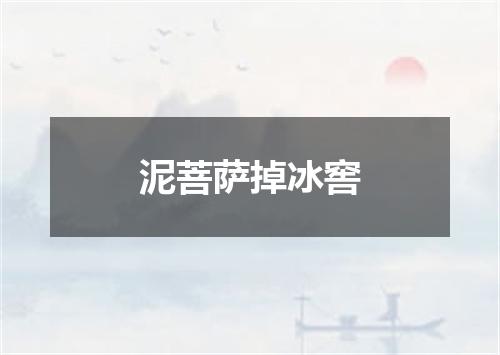 泥菩萨掉冰窖