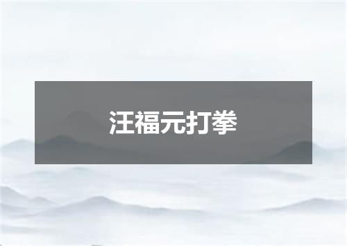 汪福元打拳