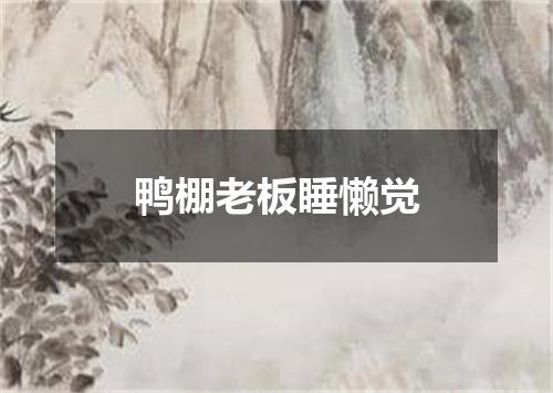鸭棚老板睡懒觉
