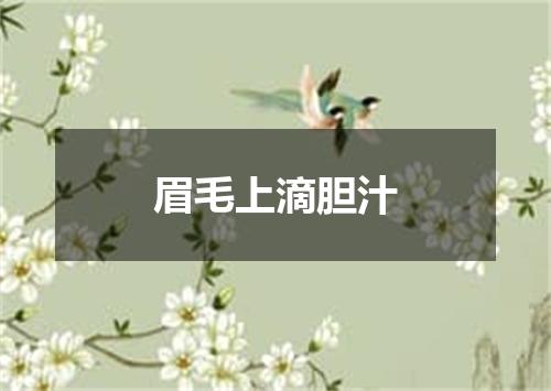 眉毛上滴胆汁