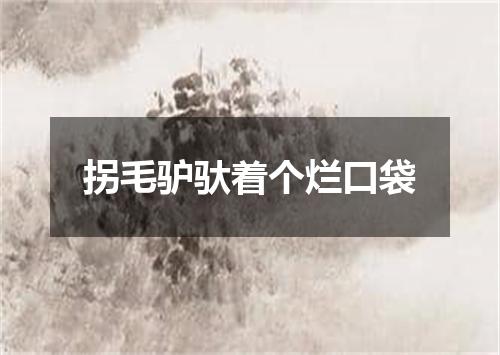 拐毛驴驮着个烂口袋