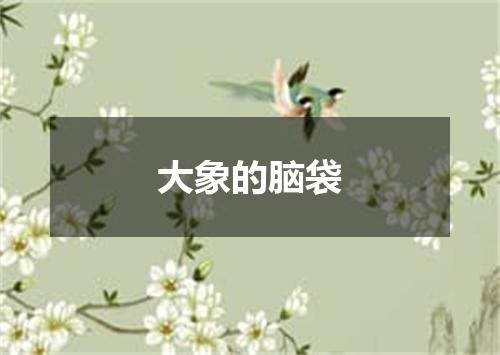 大象的脑袋