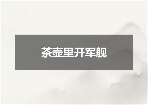 茶壶里开军舰