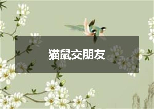 猫鼠交朋友