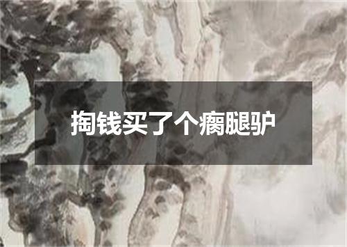 掏钱买了个瘸腿驴