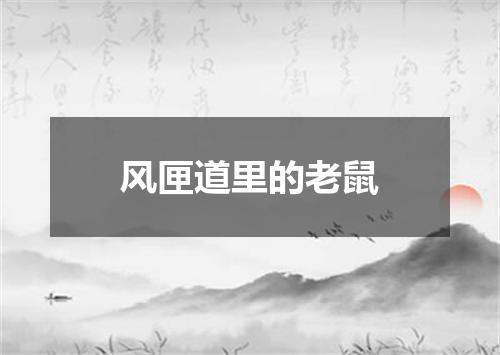 风匣道里的老鼠