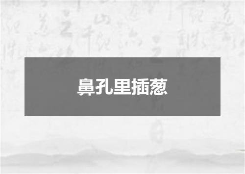 鼻孔里插葱