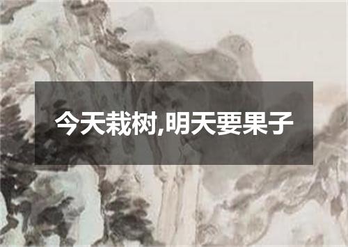 今天栽树,明天要果子