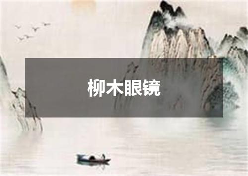 柳木眼镜