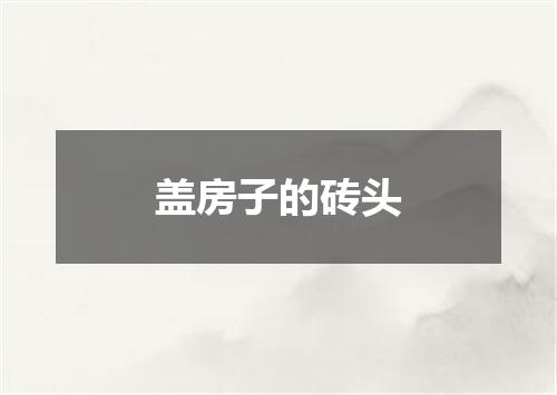 盖房子的砖头
