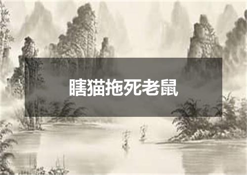 瞎猫拖死老鼠