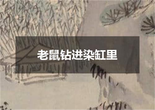 老鼠钻进染缸里
