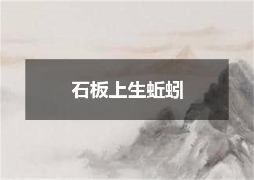 石板上生蚯蚓