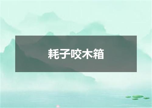 耗子咬木箱