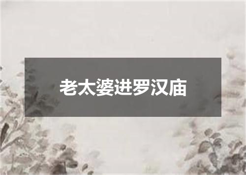 老太婆进罗汉庙
