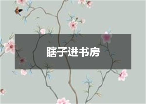 瞎子进书房