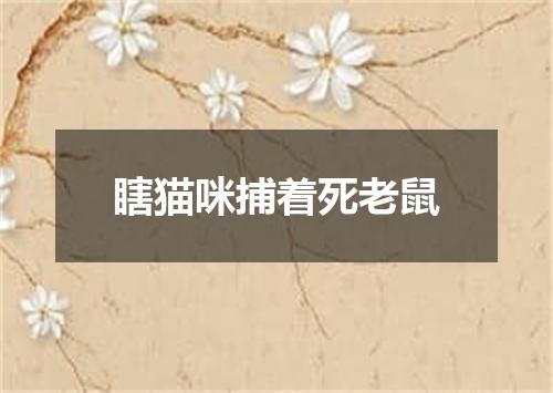 瞎猫咪捕着死老鼠