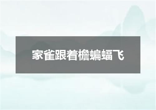 家雀跟着檐蝙蝠飞