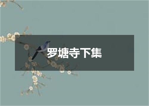 罗塘寺下集