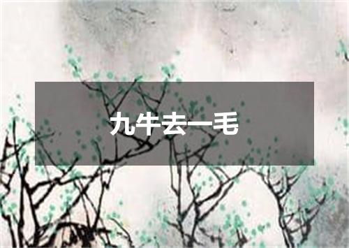 九牛去一毛