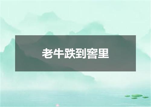 老牛跌到窖里