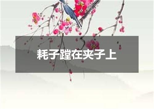 耗子蹚在夹子上