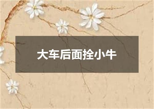 大车后面拴小牛