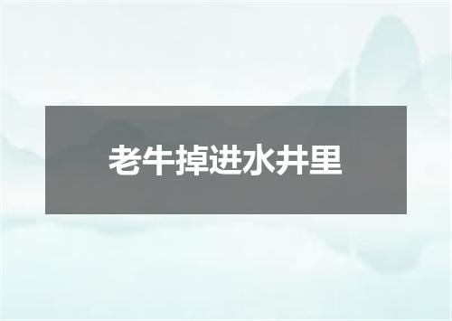 老牛掉进水井里