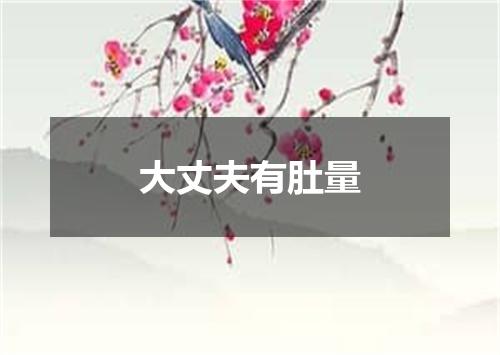 大丈夫有肚量