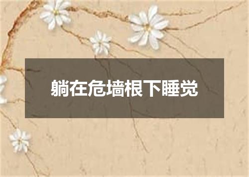 躺在危墙根下睡觉