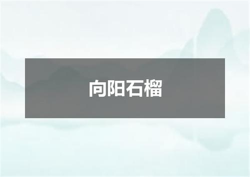 向阳石榴