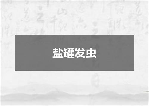 盐罐发虫