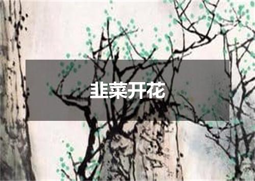 韭菜开花