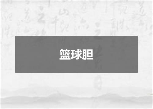 篮球胆