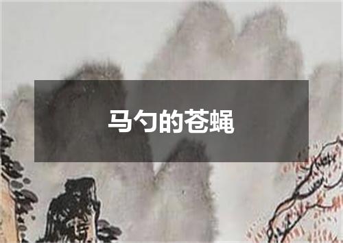 马勺的苍蝇