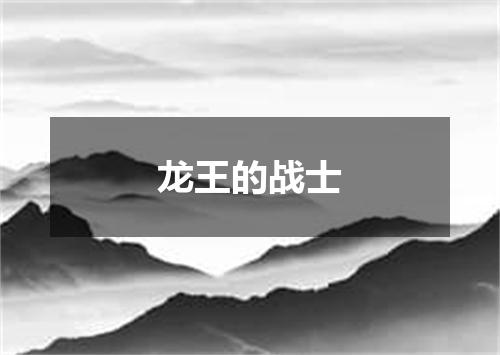 龙王的战士