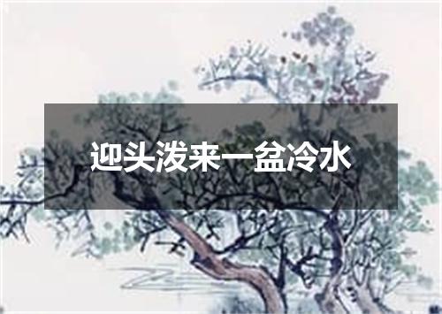 迎头泼来一盆冷水