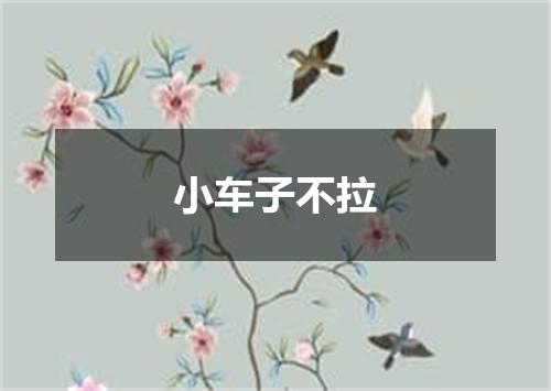 小车子不拉