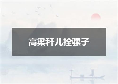 高梁秆儿拴骡子