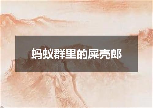 蚂蚁群里的屎壳郎