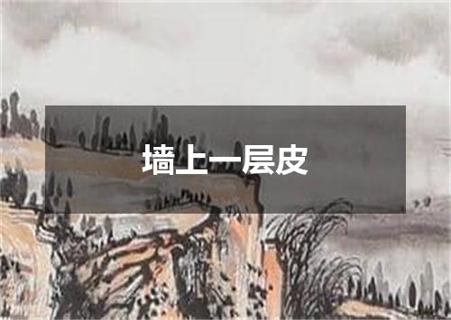 墙上一层皮