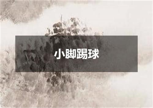 小脚踢球
