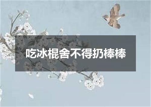 吃冰棍舍不得扔棒棒