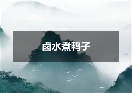 卤水煮鸭子