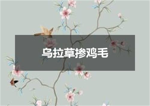 乌拉草掺鸡毛