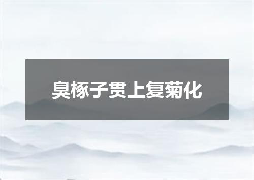 臭椓子贯上复菊化
