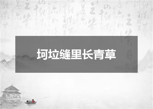 坷垃缝里长青草