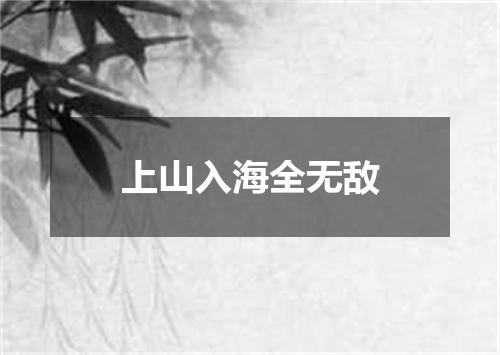 上山入海全无敌